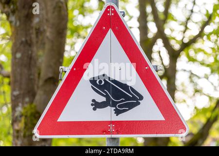 Attention : Frogs Crossing Road - panneau de rue Avertissement sur la sécurité de la faune Banque D'Images