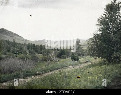 Entre Kiakhta et Ourga, Transbaïkalie, Mongolie vue de la taïga avec des montagnes en arrière-plan, nature, Environnement, Paysage, Mont, montagne, Transbaïkalie, 20/07/1913 - 20/07/1913, Passet, Stéphane, photographe, 1913 - Mongoly, Mongolie - Stéphane Passet - (6-25 juillet), Autochrome, photo, verre, Autochrome, photo, positif, horizontal, taille 9 x 12 cm Banque D'Images