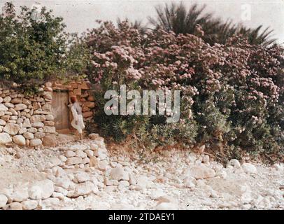 El Kantara, Algérie Un jeune garçon près de la porte d'un jardin, êtres humains, Habitat, Architecture, nature, environnement, enfant, fleur, porte, parc, jardin, végétation, botanique, El Kantara, lauriers roses, El Kantara, 01/01/1911 - 31/12/1911, 01/01/1910 - 31/12/1910, 01/01/1909 - 31/12/1909, Gervais-Courtellemont, Jules, 1909 ou 1910 - Algérie, Tunisie - Jules Gervais-Courtellemont et souvieux, Autochrome, photo, Glass, Autochrome, photo, positif, horizontal, taille 9 x 12 cm Banque D'Images