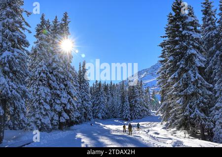 Météo hivernale en Bulgarie. Les randonneurs grimpent une pente avec de la neige fraîchement tombée dans une forêt enneigée par une journée ensoleillée d'hiver après une chute de neige. Banque D'Images