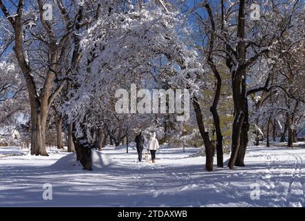 Un couple se promenant avec leur chien par une belle journée d'hiver ensoleillée à Denver, Colorado. Banque D'Images