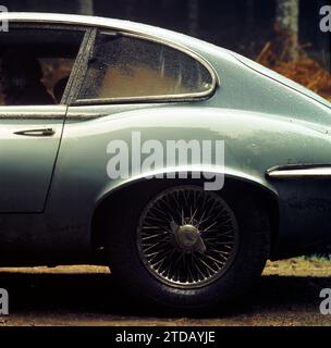 Gros plan d'une Jaguar E-type série 3 1970 dans un environnement forestier atmosphérique, avec rosée tôt le matin ou le soir sur le panneau arrière 1/4. Banque D'Images