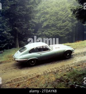 1970 Jaguar E-type Series 3, SWK582H, prototype 2+2 V-12, sur piste boisée isolée dans un environnement forestier atmosphérique, tôt le matin ou le soir. Banque D'Images