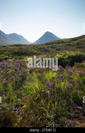 Buachaille Etive Beag vu depuis les landes sur la West Highland Way. Glencoe, Écosse, Royaume-Uni. Banque D'Images