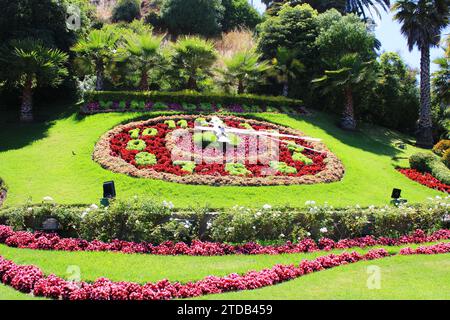 Viña del Mar, horloge à fleurs Banque D'Images