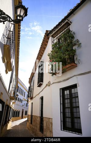 Rue pavée étroite et façades de la ville de Ronda, Malaga, Espagne Banque D'Images