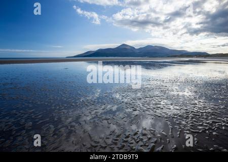 Les montagnes de Mourne de Murlough Beach. County Down, Irlande du Nord, Royaume-Uni. Banque D'Images