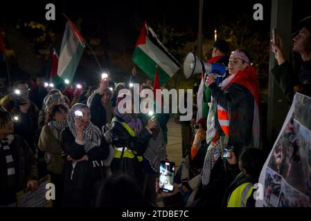 La Haye, Hollande du Sud, pays-Bas. 17 décembre 2023. Des manifestants pro-palestiniens se rassemblent devant la Cour pénale internationale. Le 17 décembre 2023, des centaines de manifestants pro-palestiniens ont marché sur 21 kilomètres de Leiden à la Cour pénale internationale. Le message du manifestant était solidarité avec les Palestiniens tués et déplacés à Gaza. (Image de crédit : © James Petermeier/ZUMA Press Wire) USAGE ÉDITORIAL SEULEMENT! Non destiné à UN USAGE commercial ! Crédit : ZUMA Press, Inc./Alamy Live News Banque D'Images