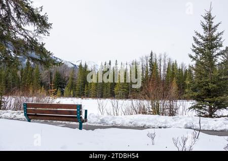 Banc en bois vide le long d'un chemin pavé sur la rive d'une rivière gelée dans les montagnes sur une journée nuageuse d'hiver Banque D'Images