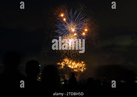 Feu d'artifice de la veille du nouvel an dans un parc public Banque D'Images