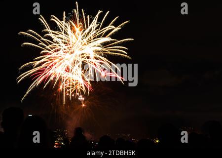 Feu d'artifice de clebration du nouvel an dans un parc Banque D'Images