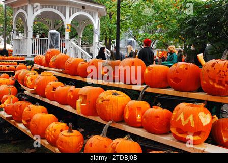 Des rangées et des rangées de citrouilles sur une étagère bordent la place de la ville à Keene, New Hampshire lors d'un festival d'Halloween en automne Banque D'Images