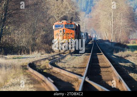 Bow, WA, États-Unis - 16 décembre 2023 ; le train de marchandises BNSF s'est arrêté en voie d'évitement pendant l'hiver avec des voies de ligne de tête Banque D'Images