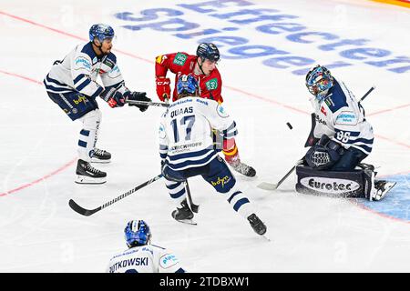 Eishockey DEL - Düsseldorfer EG vs Iserlohn Roosters am 17.11.2023 im PSD Bank Dome in Düsseldorf Düsseldorfs Alexander Blank (Nr.24) scheitet an Iserlohns Torhüter Kevin Reich (Nr.35) Foto : osnapix Banque D'Images