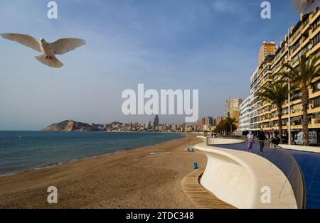 Alicante le 5 février 2021. Benidorm sans tourisme. Hôtels, terrasses et cafés fermés. Plage de Poniente à Benidorm photo Juan Carlos Soler archdc. Crédit : Album / Archivo ABC / Juan Carlos Soler Banque D'Images