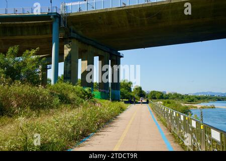 Hanam City, Corée du Sud - 1 octobre 2023 : un cycliste parcourt la piste cyclable ombragée sous l'imposant pont de Paldang Bridge, avec la rivière Han besi Banque D'Images