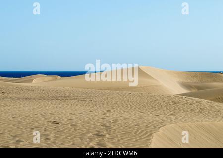 Dunas de Maspalomas Banque D'Images