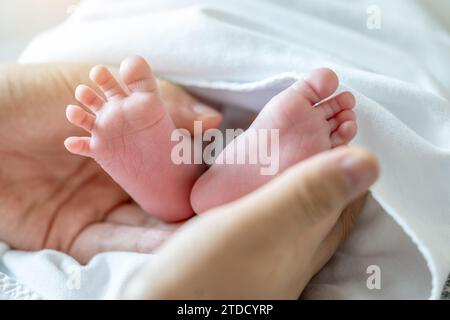 Pieds du nouveau-né et mains de la mère tenant les pieds Banque D'Images