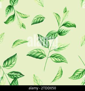 Aquarelle motif sans couture de feuilles fraîches de menthe poivrée isolé sur fond. Détail des produits de beauté et ensemble botanique, cosmétologie et médecine. Pour Banque D'Images