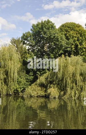 Le Loing à Moret sur Loing Banque D'Images