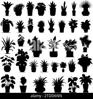 Plantes d'intérieur. Vector Set silhouettes plantes d'intérieur, succulentes en pot. Fleurs exotiques d'intérieur avec tiges et feuilles. Monstera, ficus, pothos, yucca, dracaena, cactus, plante de serpent pour la maison et l'intérieur Illustration de Vecteur