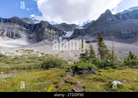 Backcountry Creek menant au glacier Stanley Banque D'Images