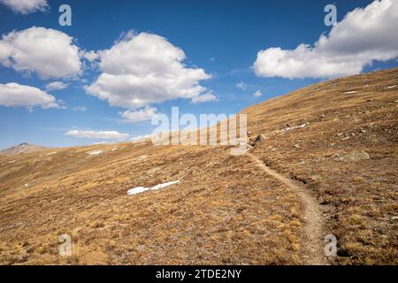 Sentier de randonnée dans la région sauvage de Collegiate Peaks, Colorado Banque D'Images