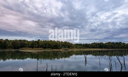 Cette image capture la beauté sereine d'un lac immobile reflétant un paysage boisé sous un ciel texturé de nuages stratocumulus. Le calme du lac permet une réflexion semblable à un miroir, mélangeant l'eau et le ciel de manière transparente. Les branches d'arbres morts émergent subtilement de l'eau, ajoutant un élément de nature morte à la scène. La forêt est dense et montre la luxuriance de la fin de l'été ou du début de l'automne, avec le ciel suggérant un changement de temps peut être à l'horizon. Lac tranquille et forêt sous un ciel texturé. Photo de haute qualité Banque D'Images