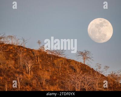 Pleine lune super bleue se levant à l'est dans la baie d'Urbina, îles Galapagos, site du patrimoine mondial de l'UNESCO, Équateur, Amérique du Sud Banque D'Images