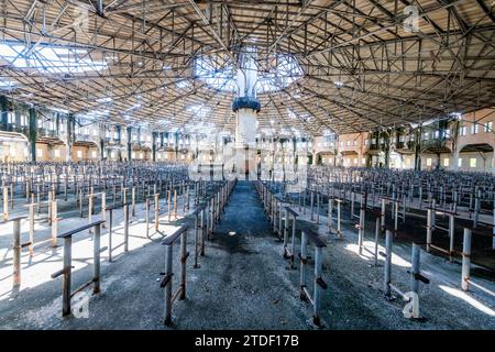 Presidio Modelo, prison modèle au design panoptique, Isla de la Juventud (île de la Jeunesse), Cuba, Antilles, Amérique centrale Banque D'Images