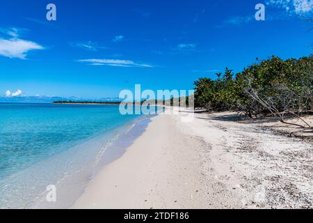 Plage de sable blanc dans le Parque Nacional Marino de Punta Frances Punta Pedernales, Isla de la Juventud (Île de la Jeunesse), Cuba, Antilles Banque D'Images