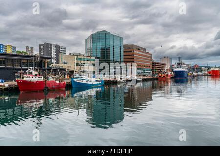 Port de bateau de St. John's, Terre-Neuve, Canada, Amérique du Nord Banque D'Images