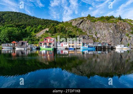 Port de bateau de Quidi Vidi, St. John's, Terre-Neuve, Canada, Amérique du Nord Banque D'Images
