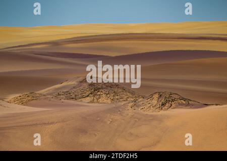 Dunes de sable rose, désert de Namibe (Namib), Parc National de Iona, Namibe, Angola, Afrique Banque D'Images