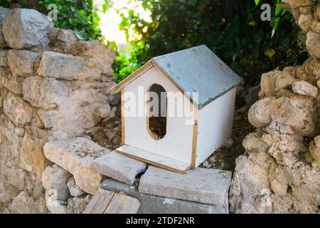 Maison faite à la main pour les chats sans abri se tient dans le parc parmi les arbres Banque D'Images