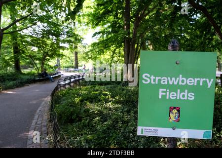 Vue du Strawberry Fields Memorial, une section paysagée dédiée à la mémoire de l'ancien membre des Beatles John Lennon Banque D'Images