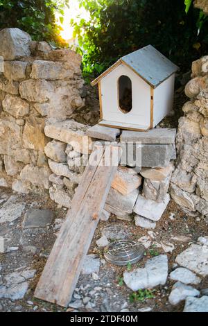 Maison faite à la main pour les chats sans abri se tient dans le parc parmi les arbres Banque D'Images