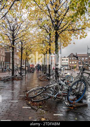 03,11 2023, Leiden, pays-Bas, vélos renversés par des vents forts sur le trottoir. Banque D'Images