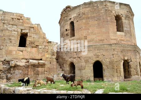 Une forteresse se trouvait probablement déjà ici à l'époque hittite, mais la structure visible aujourd'hui remonte en grande partie aux années suivant 1059 Banque D'Images