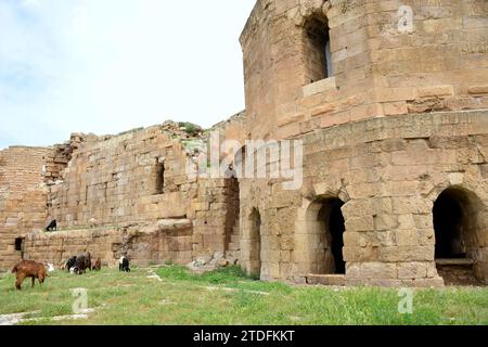 Une forteresse se trouvait probablement déjà ici à l'époque hittite, mais la structure visible aujourd'hui remonte en grande partie aux années suivant 1059 Banque D'Images