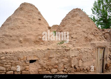 La fondation de la ville de Harran remonte probablement au 18e siècle av. J.-C. maisons coniques typiques de cette région Banque D'Images