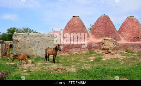 La fondation de la ville de Harran remonte probablement au 18e siècle av. J.-C. maisons coniques typiques de cette région Banque D'Images