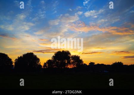 Coucher de soleil pittoresque dans la campagne. Silhouettes d'arbres contre le ciel de coucher du soleil. Banque D'Images