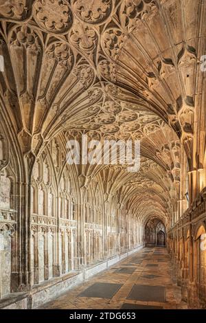 Le Grand Cloître du 14e siècle à la cathédrale de Gloucester considéré comme le premier et le meilleur exemple de voûte en éventail dans le monde, Gloucester, Engalnd Royaume-Uni Banque D'Images