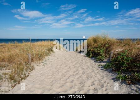 Chemin entre les dunes de sable surplombant la mer avec ciel bleu. Avec panneau « Grones - Veuillez garder vos distances - risque d'accident » Banque D'Images