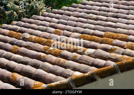 Détail des tuiles incurvées et texturées en terre cuite utilisées dans la construction de maisons dans toute l'Espagne, l'Italie et le Portugal et d'autres régions du sud de l'Europe Banque D'Images