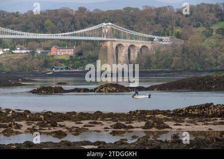 Pont suspendu de Menai et le détroit de Menai sur la côte du nord du pays de Galles. Un pêcheur apportant une prise dans un petit bateau. Banque D'Images