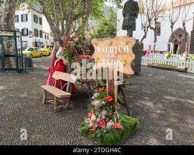 Machico, Madère, Portugal, 17 mai 2022 : rue piétonne au centre de la ville de Machico avec des platanes, des décorations florales et des maisons traditionnelles Banque D'Images