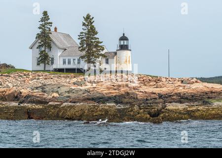 Phare de Winter Harbor sur la côte de l'océan Atlantique dans le Maine, USA au printemps. Banque D'Images