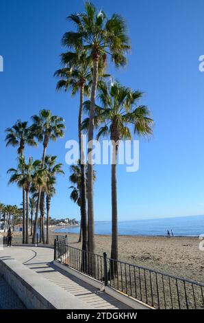 Marbella, Espagne - 10 décembre 2023 : jour ensoleillé de décembre à une plage de Marbella, Andalousie, Espagne. Banque D'Images